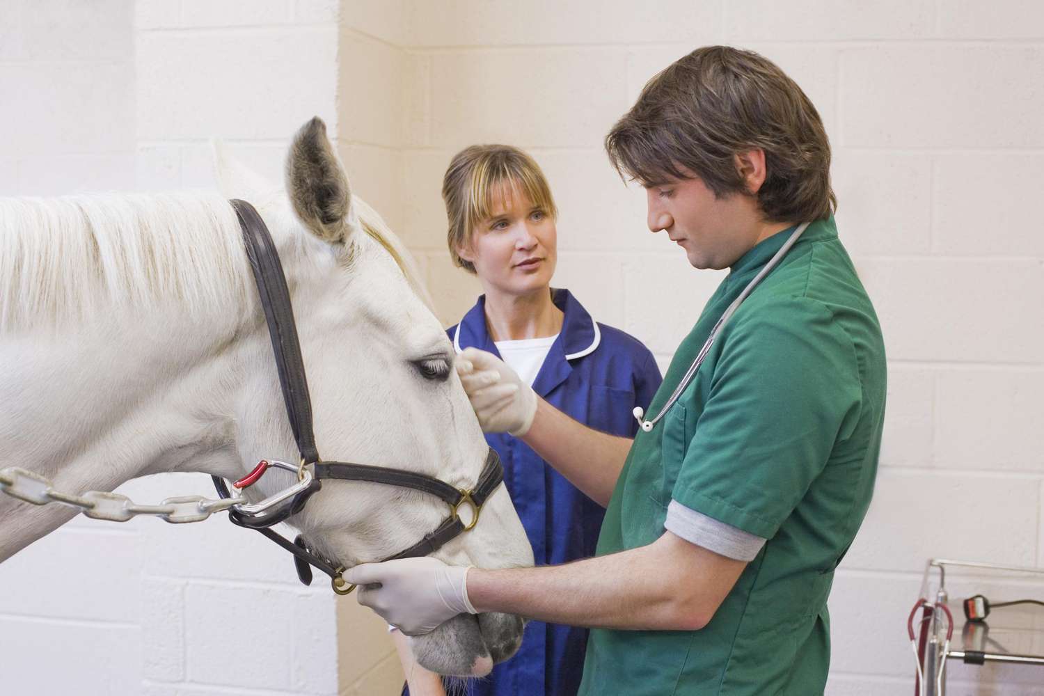 Vaccinations for Adults: What You Need to Know